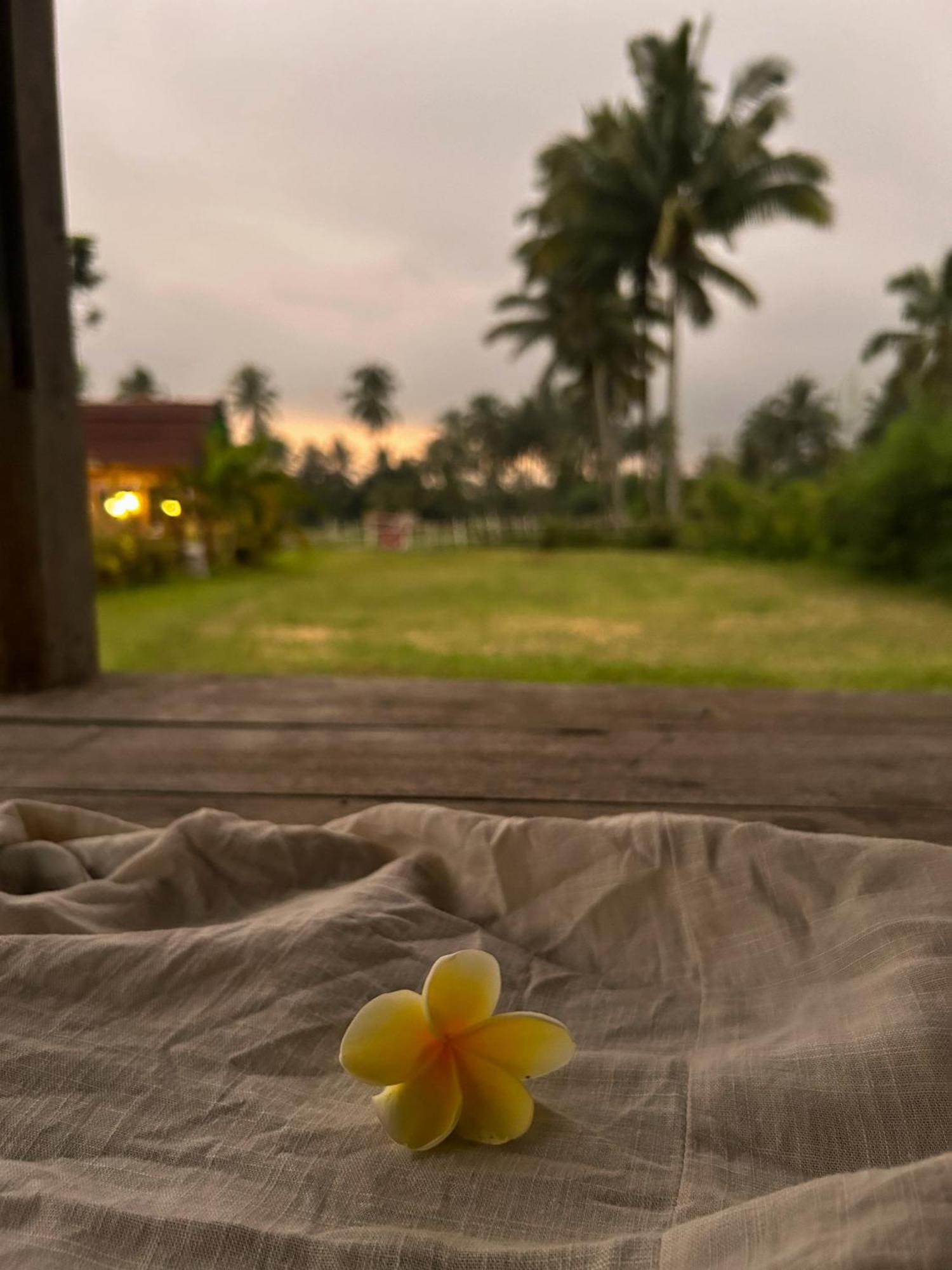 Linkgreen Homestay Lombok Tetebatu Zewnętrze zdjęcie