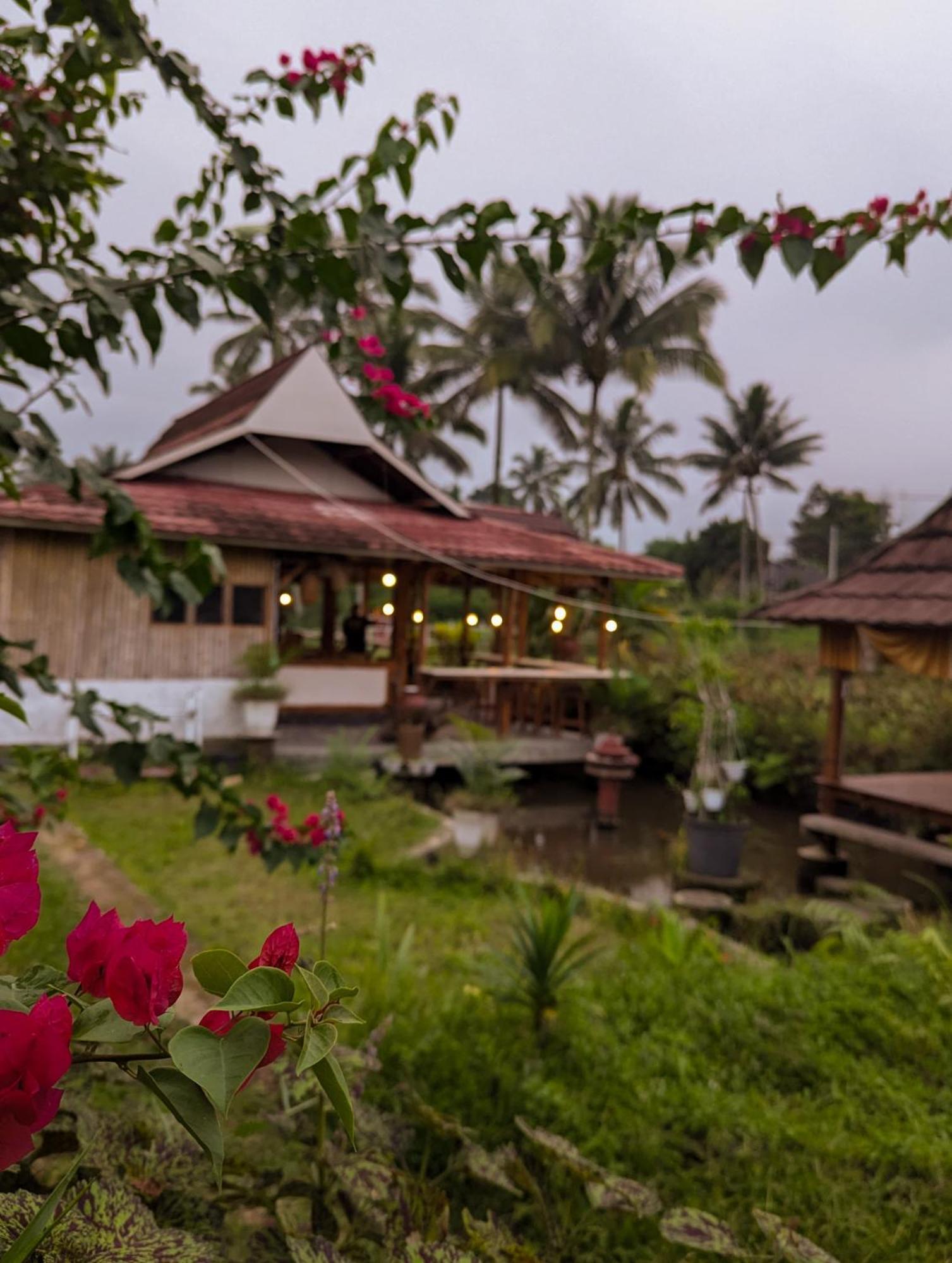 Linkgreen Homestay Lombok Tetebatu Zewnętrze zdjęcie