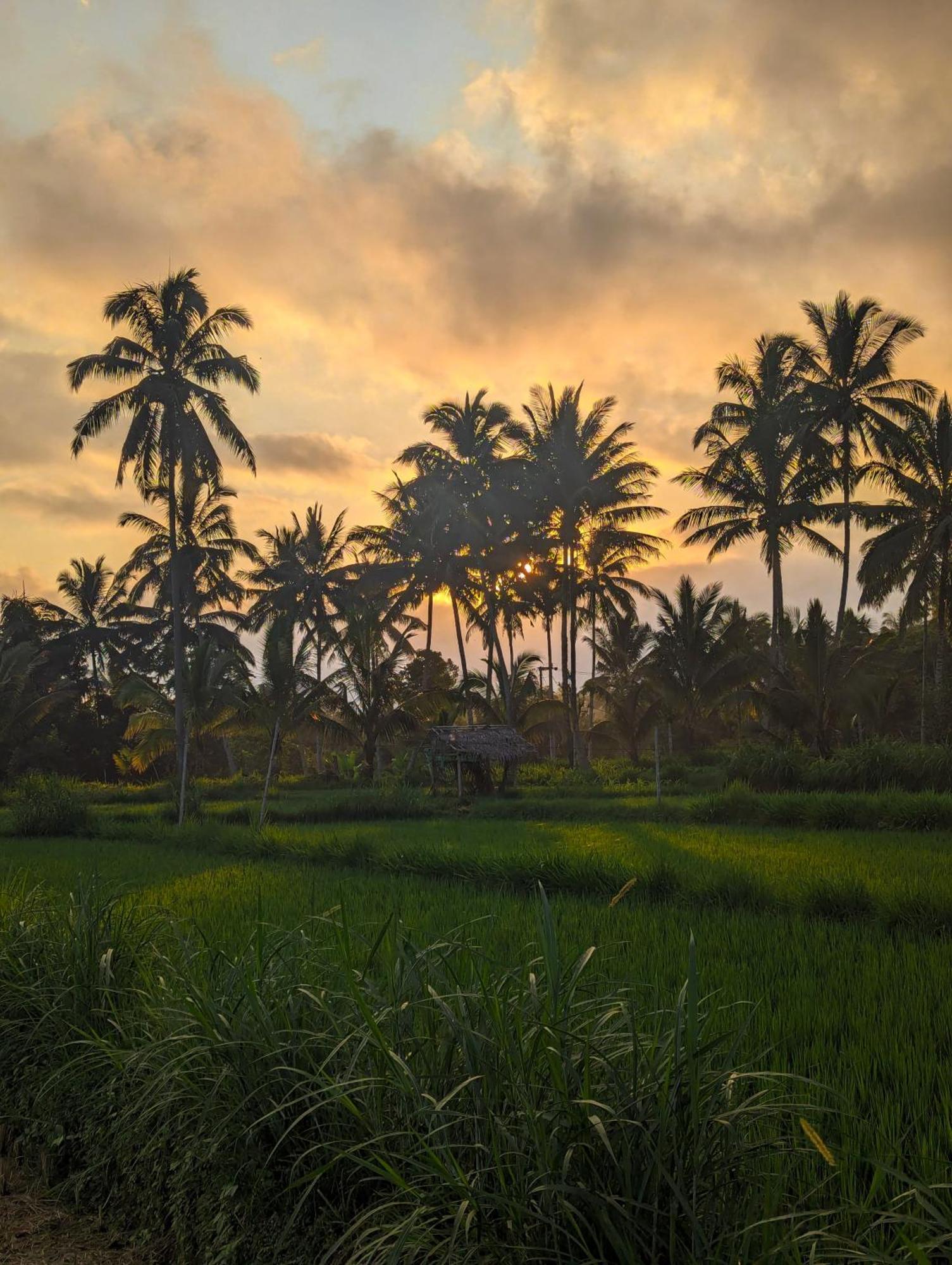Linkgreen Homestay Lombok Tetebatu Zewnętrze zdjęcie