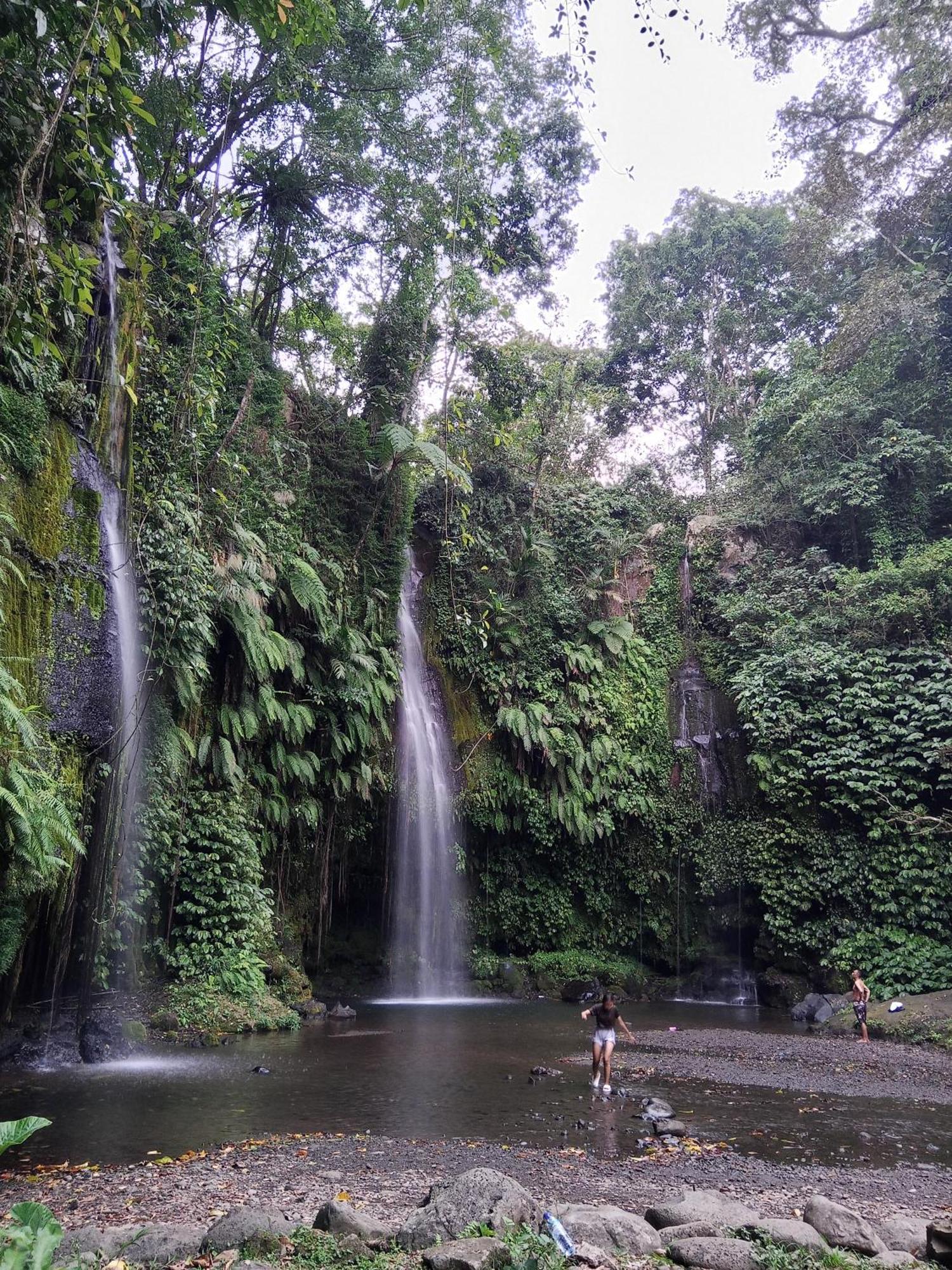 Linkgreen Homestay Lombok Tetebatu Pokój zdjęcie